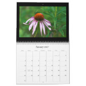 Kalender - Bits & Stücke (Jan 2027)