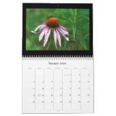 Kalender - Bits & Stücke (Jan 2026)