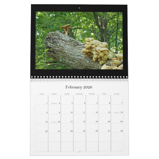 Kalender - Bits & Stücke (Feb 2026)