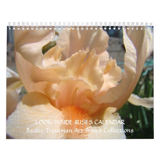 KALENDER BLICK INSIDE IRISES Iris Blumen (Titelbild)
