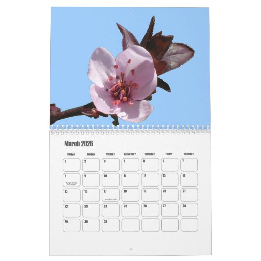 Kalender - Blume (Mär 2026)