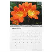 Kalender - Blume Nah und persönlich (Feb 2027)