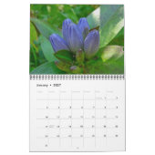Kalender - Blume Nah und persönlich (Jan 2027)
