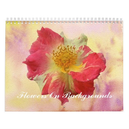 Kalender - Blume zum Hintergrund (Titelbild)