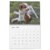 Kalender Bretagne 2008 (Mär 2027)