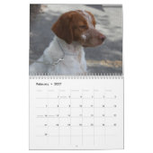 Kalender Bretagne 2008 (Feb 2027)