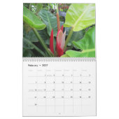 Kalender Büffel-New York botanischer Garten-2018 (Feb 2027)