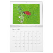 Kalender - Buggy über Bugs (Mär 2026)