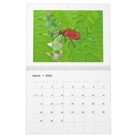 Kalender - Buggy über Bugs (Mär 2026)