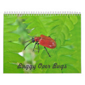 Kalender - Buggy über Bugs (Titelbild)