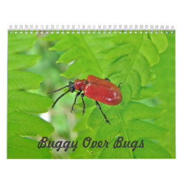 Kalender - Buggy über Bugs