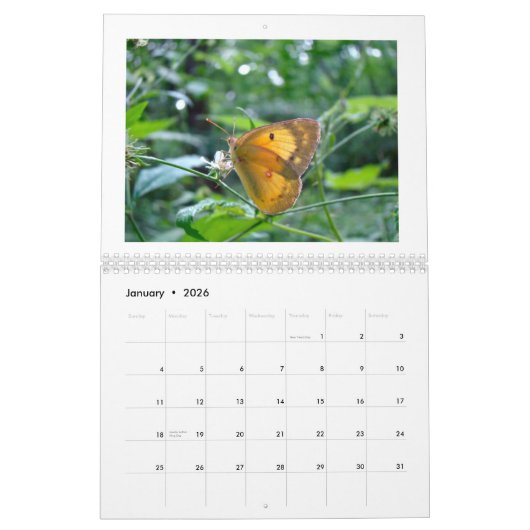 Kalender - Buggy über Bugs (Jan 2026)