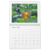 Kalender - Buggy über Bugs (Jan 2027)