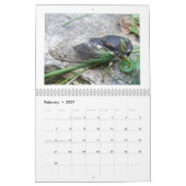 Kalender - Buggy über Bugs (Feb 2027)