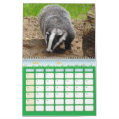 Kalender Calendar Badgers Forest (Mär 2027)