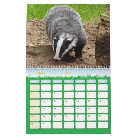 Kalender Calendar Badgers Forest (Mär 2026)