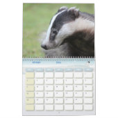 Kalender Calendar Badgers Forest (Feb 2026)