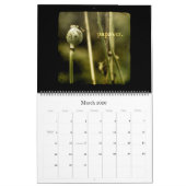 Kalender Capitulare de Villis 2009 (Mär 2026)