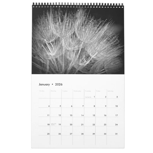 Kalender - Das Leben ist schwarz und weiß (Jan 2026)