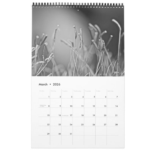 Kalender - Das Leben ist schwarz und weiß (Mär 2026)