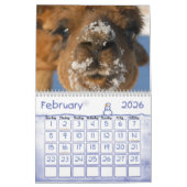 KALENDER DER ALPAKA-LIEBE-2011 (Feb 2026)