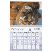 KALENDER DER ALPAKA-LIEBE-2011 (Feb 2027)