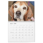 Kalender der Atlanta-Beagle-Rettungs-2014 (Mär 2027)