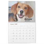 Kalender der Atlanta-Beagle-Rettungs-2014 (Jan 2027)