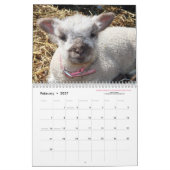 Kalender der Babydoll-Southdownschaf-2016 NABSSAR (Feb 2027)