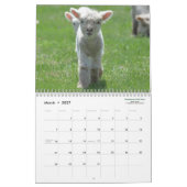 Kalender der Babydoll-Southdownschaf-2016 NABSSAR (Mär 2027)