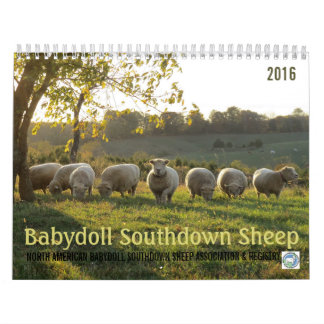 Kalender der Babydoll-Southdownschaf-2016 NABSSAR