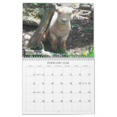 Kalender der Babydoll-Southdownschaf-2017 NABSSAR (Feb 2026)
