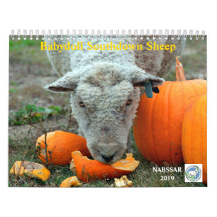 Kalender der Babydoll-Southdownschaf-2019 NABSSAR