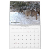 Kalender der Babydoll-Southdownschaf-2019 NABSSAR (Jan 2026)