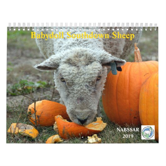 Kalender der Babydoll-Southdownschaf-2019 NABSSAR (Titelbild)