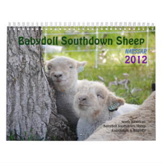 Kalender der Babydoll-Southdownschafe 2012 NABSSAR