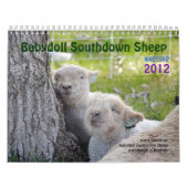 Kalender der Babydoll-Southdownschafe 2012 NABSSAR (Titelbild)