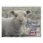 Kalender der Babydoll-Southdownschafe 2013 NABSSAR (Titelbild)