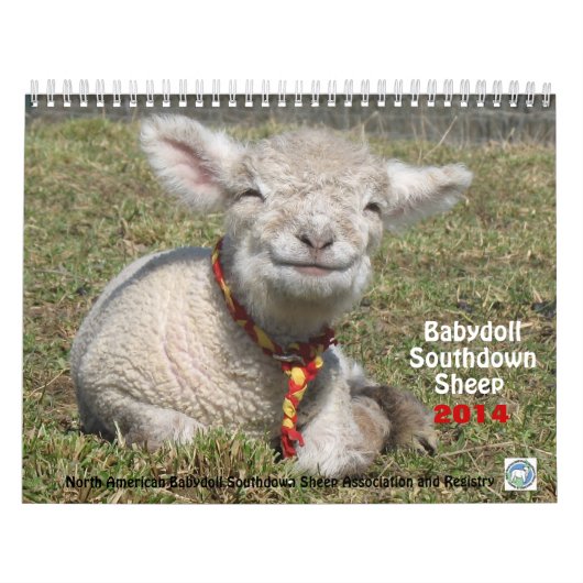 Kalender der Babydoll-Southdownschafe 2014 NABSSAR (Titelbild)