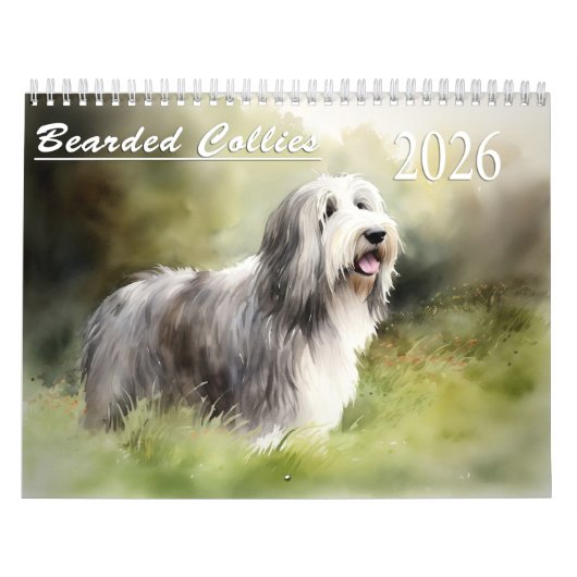 Kalender der bärtigen Colliese 2026 (Titelbild)
