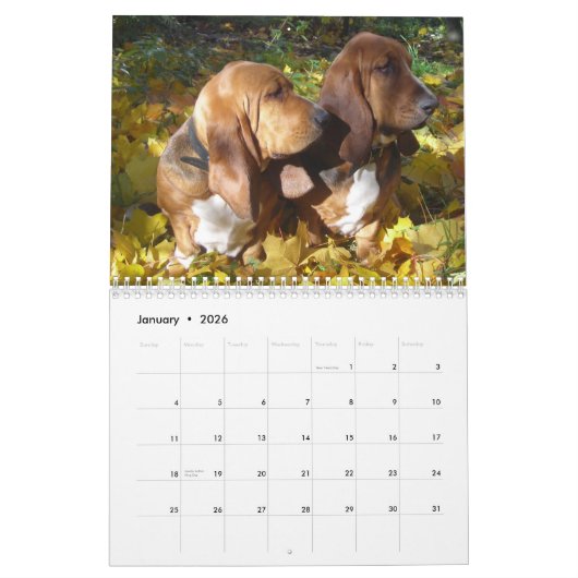 Kalender der Basset-2012 (Jan 2026)