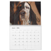Kalender der Basset-2012 (Mär 2026)