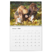 Kalender der Basset-2012 (Jan 2026)