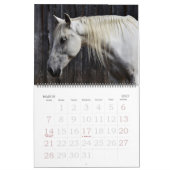 Kalender der bearbeitbaren Pferde (Mär 2027)