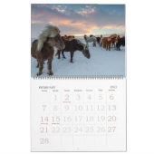 Kalender der bearbeitbaren Pferde (Feb 2027)