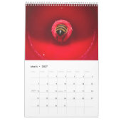 Kalender der Bienen-2019 (Mär 2027)