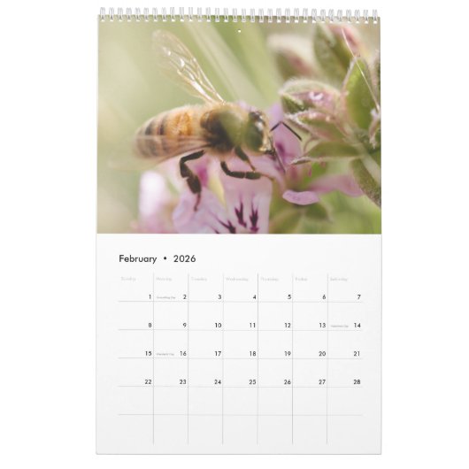 Kalender der Bienen-2020 (Feb 2026)