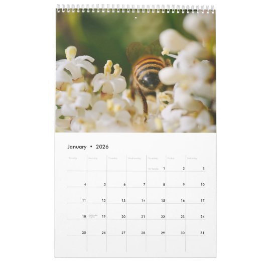Kalender der Bienen-2020 (Jan 2026)
