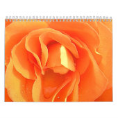 Kalender der Blumen (Titelbild)