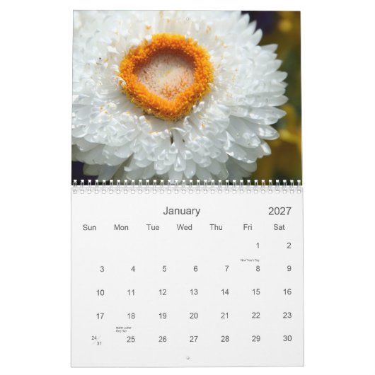 Kalender der Blumen (Jan 2027)
